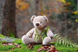 teddy-bear-524251__180